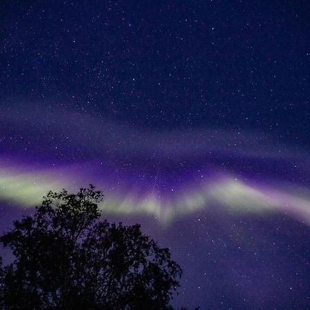 Blueberry Lodge 5 Personnes Mjolan Zewnętrze zdjęcie