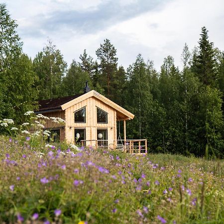 Blueberry Lodge 5 Personnes Mjolan Zewnętrze zdjęcie