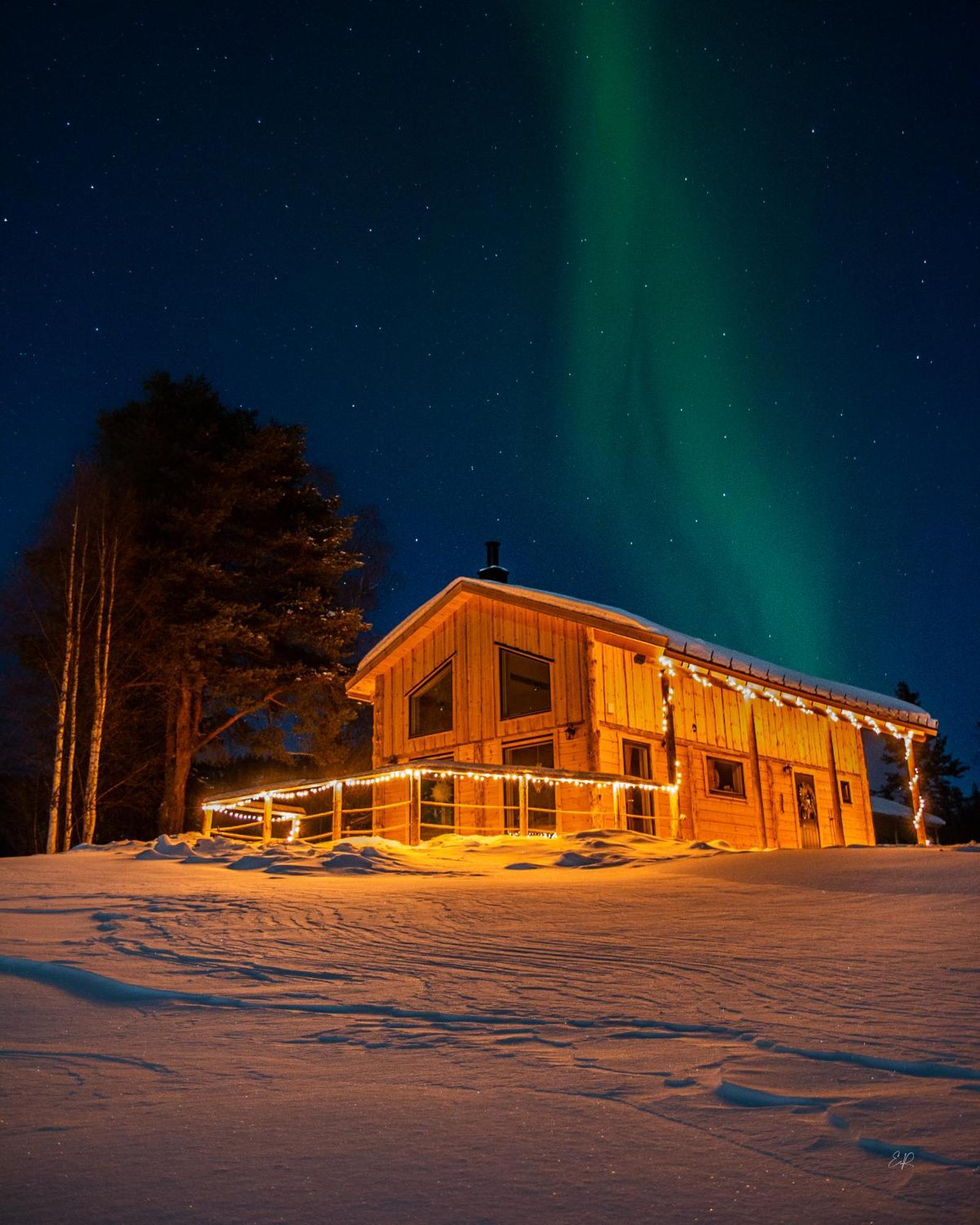 Blueberry Lodge 5 Personnes Mjolan Zewnętrze zdjęcie