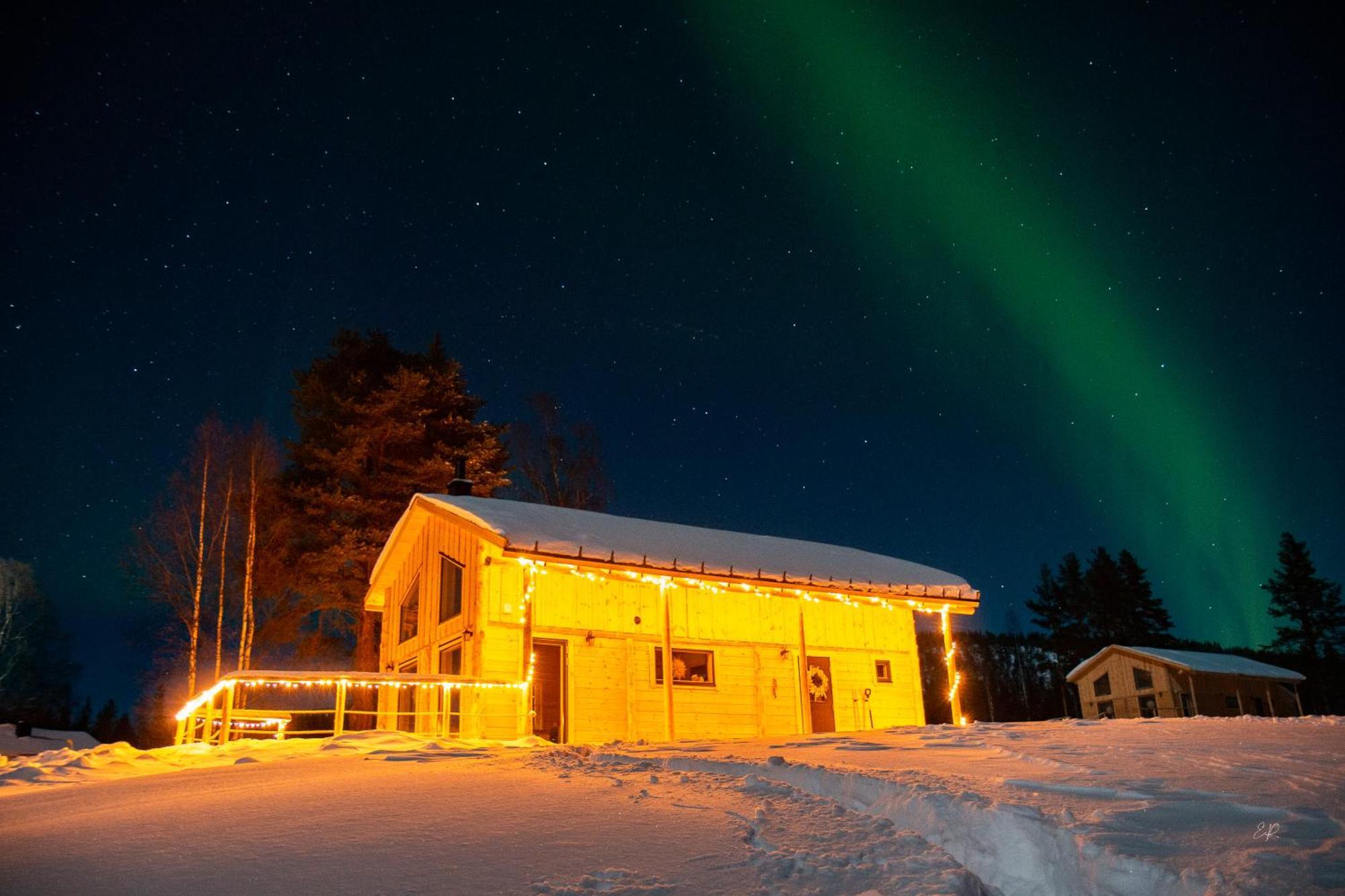 Blueberry Lodge 5 Personnes Mjolan Zewnętrze zdjęcie