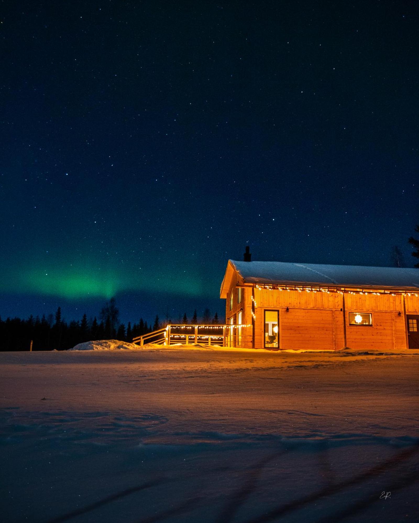 Blueberry Lodge 5 Personnes Mjolan Zewnętrze zdjęcie