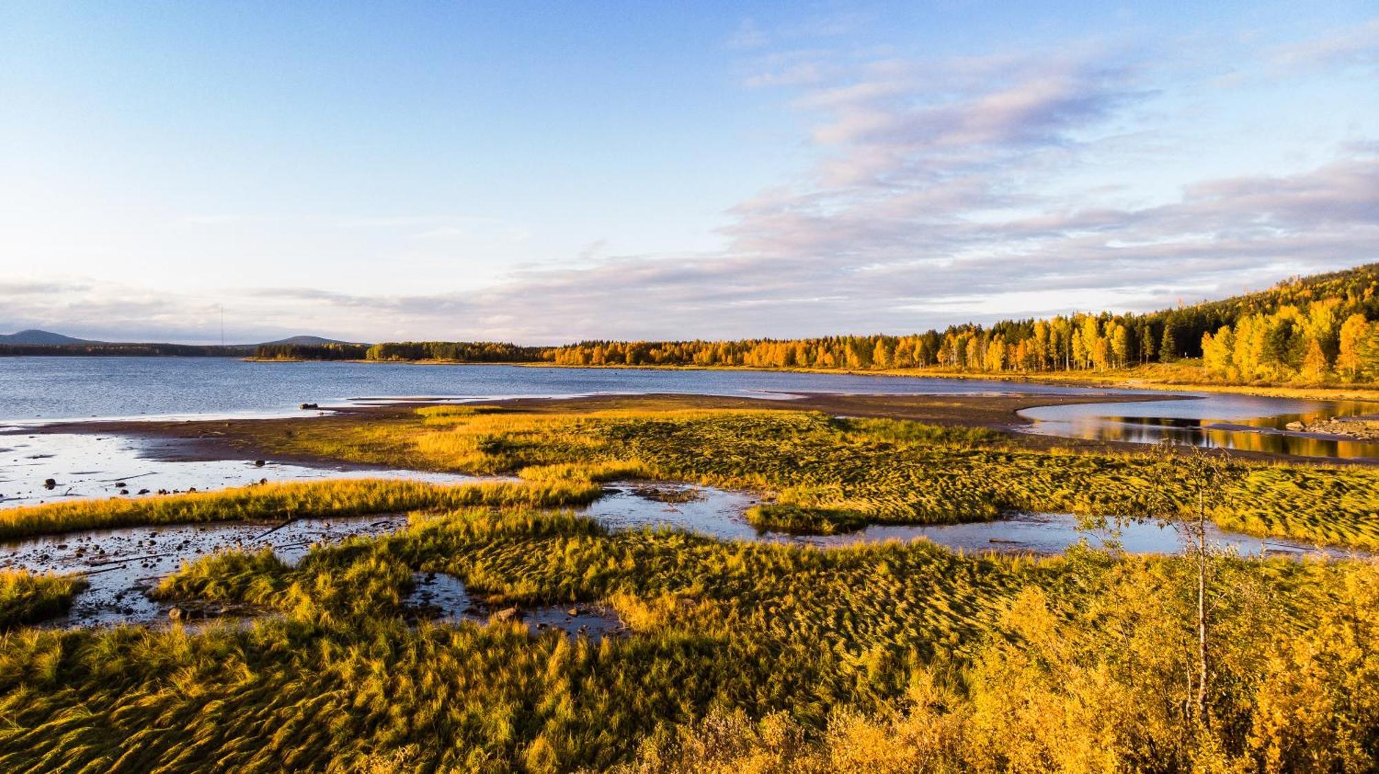 Blueberry Lodge 5 Personnes Mjolan Zewnętrze zdjęcie