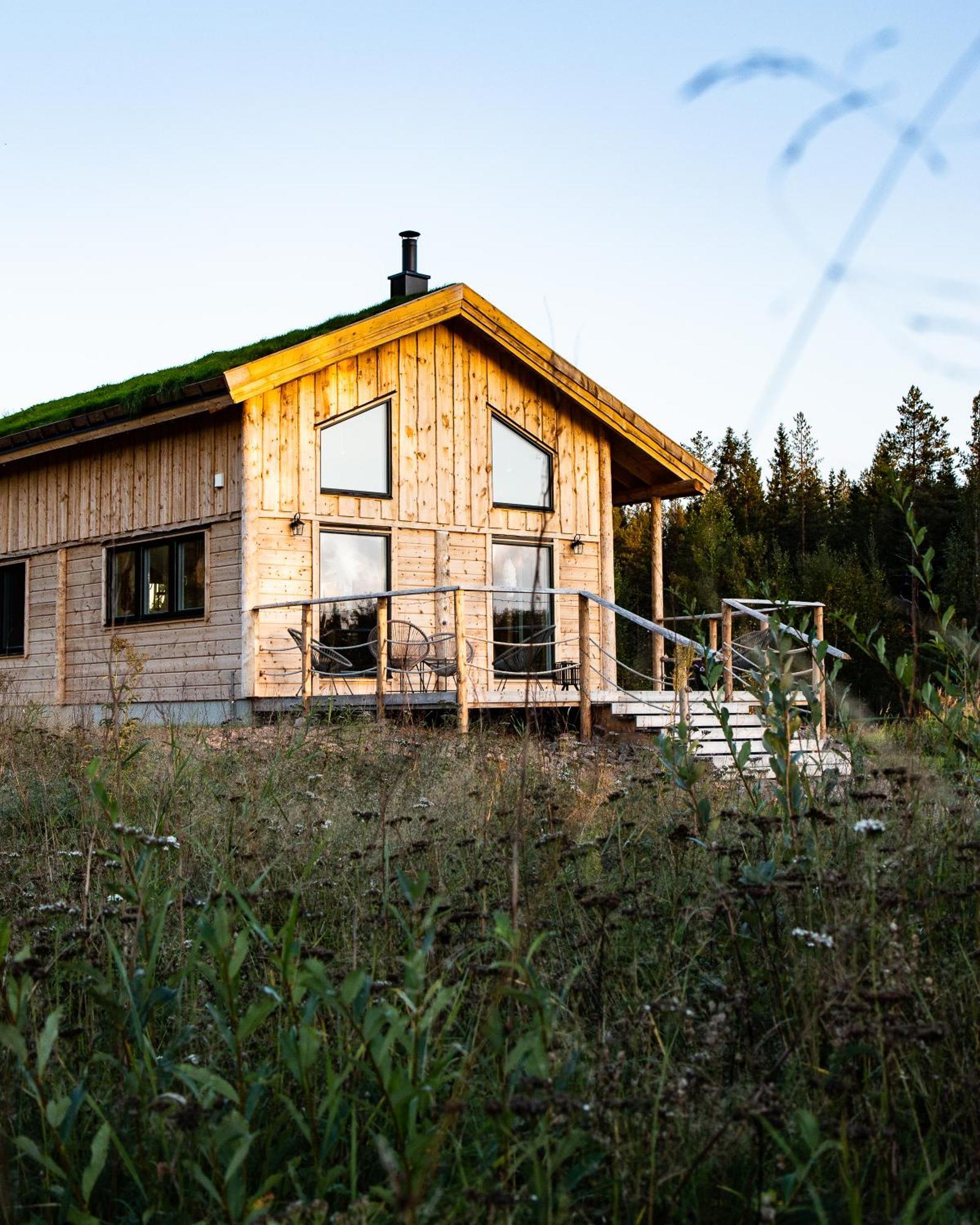 Blueberry Lodge 5 Personnes Mjolan Zewnętrze zdjęcie